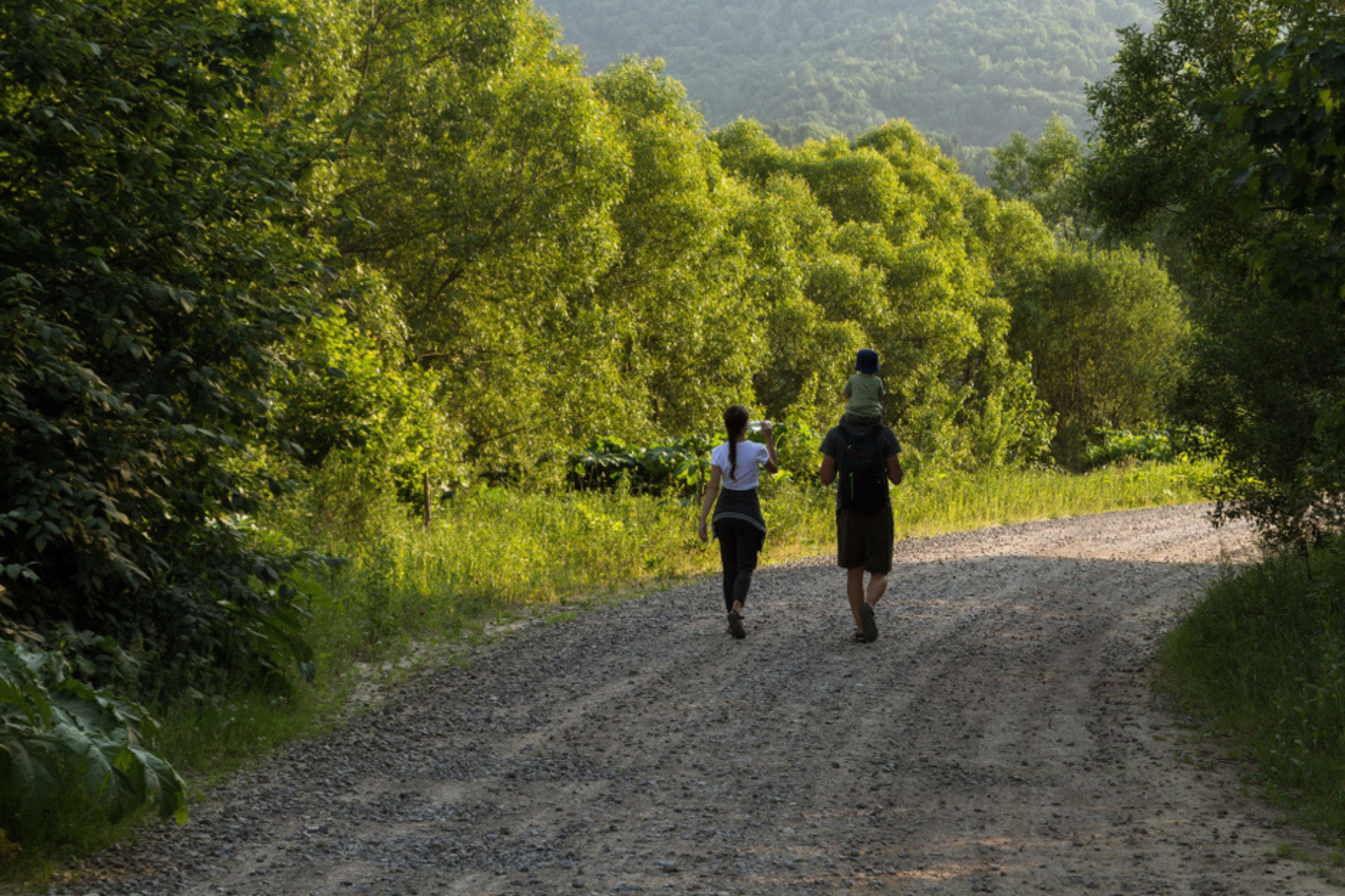 Wonder to Wander: Why You Should Fall in Love With Walking, Everyday