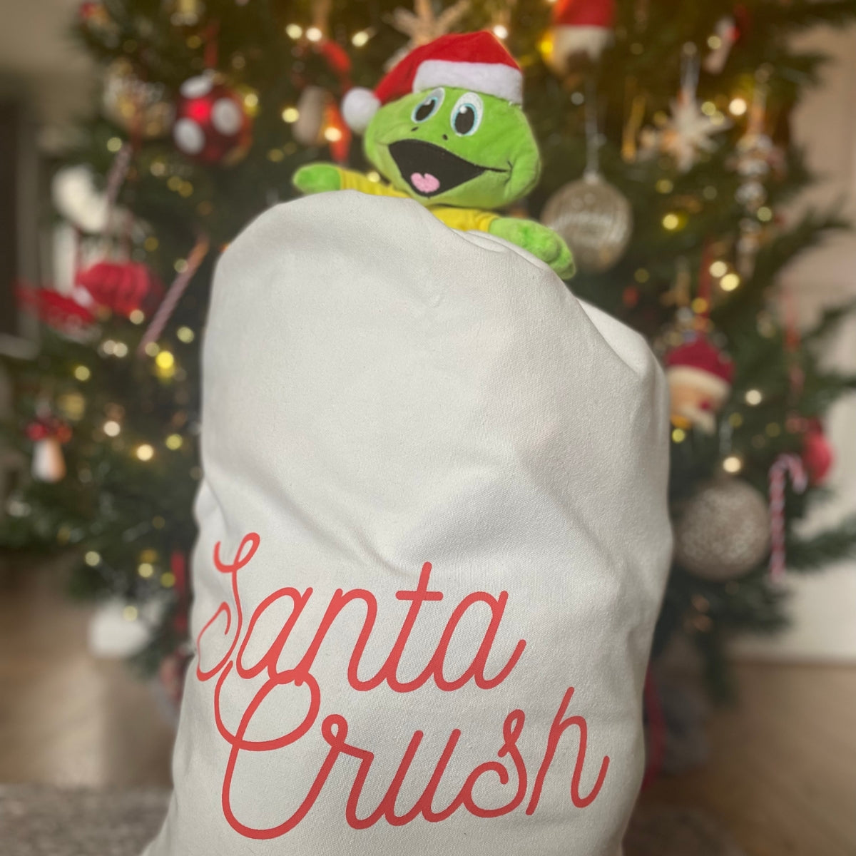 Santa Sack - Santa Crush Print