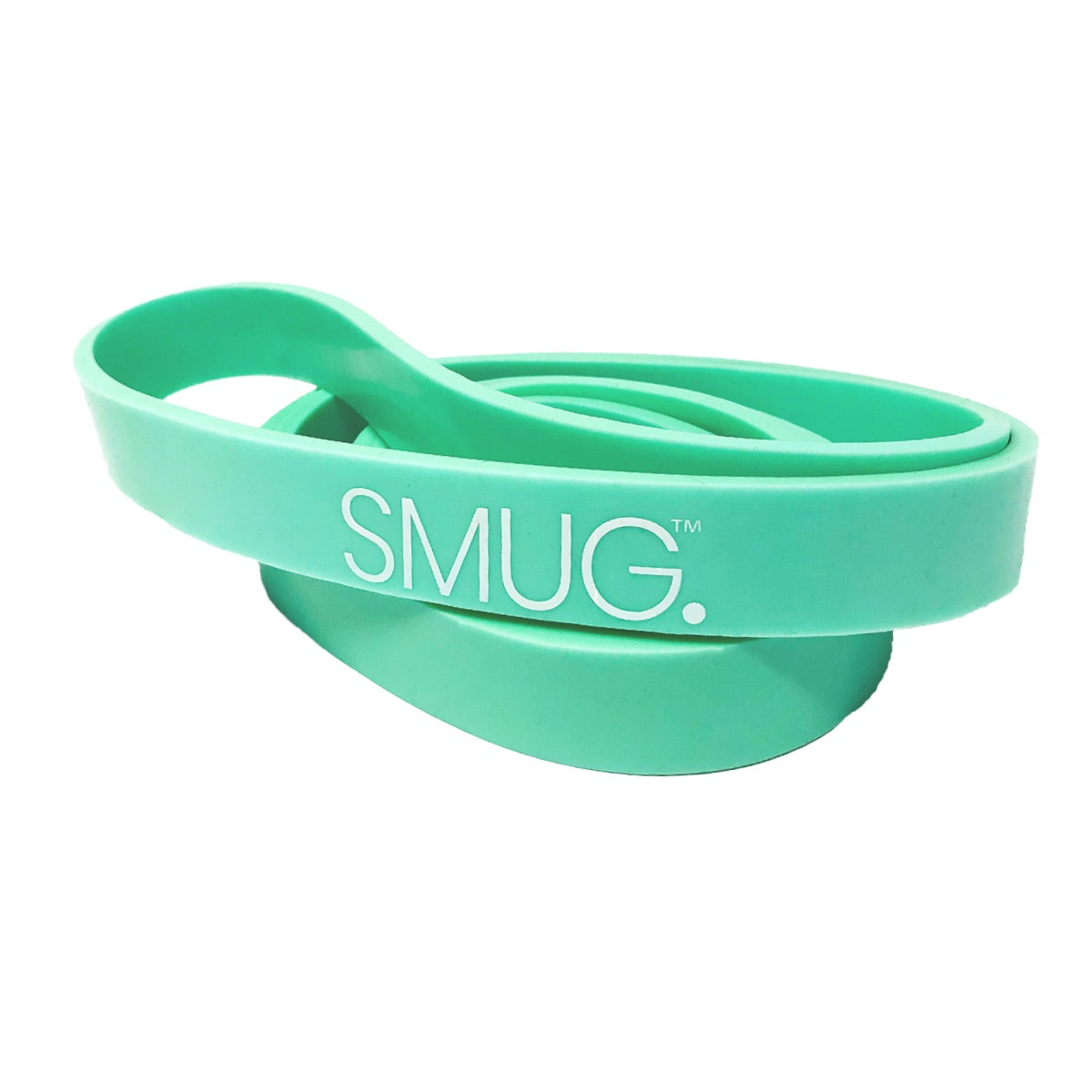 Pull Up Assistance Resistance Band - Mint Green